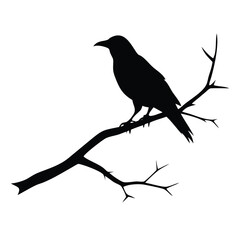 Raven silhouette vector on leafless tree branch with Halloween theme design