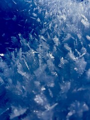 Eine Wanderung um Sophienhof (Harztor) vorbei am Dorfteich und dem Söddelbach mit ausblicken zumBrocken und dem Carlshausturm