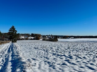 Eine Wanderung um Sophienhof (Harztor) vorbei am Dorfteich und dem S&ouml;ddelbach mit ausblicken zumBrocken und dem Carlshausturm