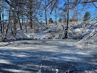 Eine Wanderung um Sophienhof (Harztor) vorbei am Dorfteich und dem S&ouml;ddelbach mit ausblicken zumBrocken und dem Carlshausturm