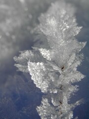 Eine Wanderung um Sophienhof (Harztor) vorbei am Dorfteich und dem Söddelbach mit ausblicken zumBrocken und dem Carlshausturm