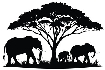 elephants under tree black and white silhouette © Pinak