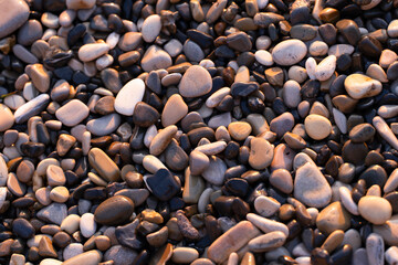Pebbles on the seashore. Background image. Texture