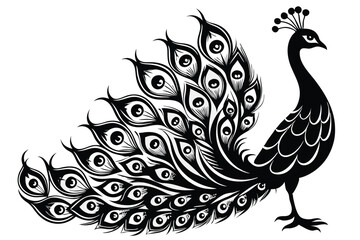 elegant peacock silhouette with luxurious tail feather