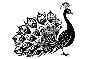 elegant peacock silhouette with luxurious tail feather