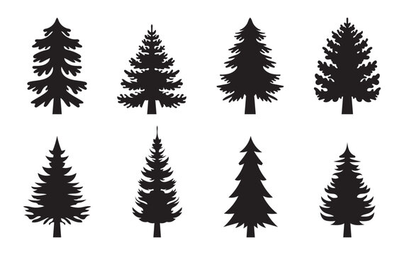 set of Douglas Fir tree vector silhouette illustration isolated on white background