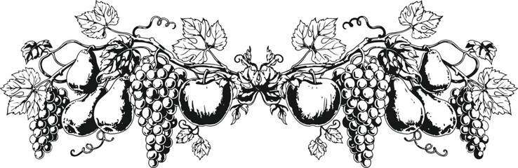Symmetrical grape vine border with leaves and fruit for vintage decoration or ornament © Mahi Fattah