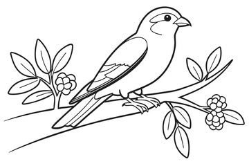 Bird on Branch Coloring Page | Simple Nature Outline