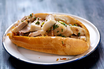 rustic vietnamese roast pork bahn mi sandwich