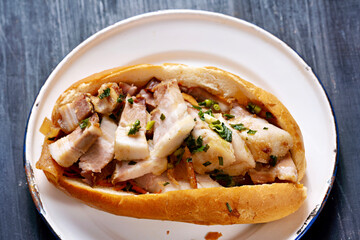 rustic vietnamese roast pork bahn mi sandwich