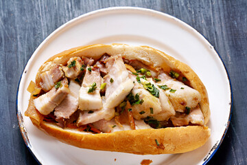 rustic vietnamese roast pork bahn mi sandwich