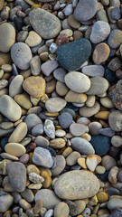 Assortment of Lake Huron Rocks