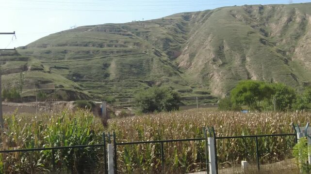Rural Agricultural Valley with Grain Field and Eroded Mountains