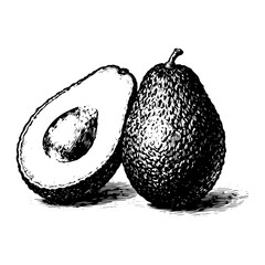 Hand-Drawn Vintage Engraving of Whole and Halved Avocados