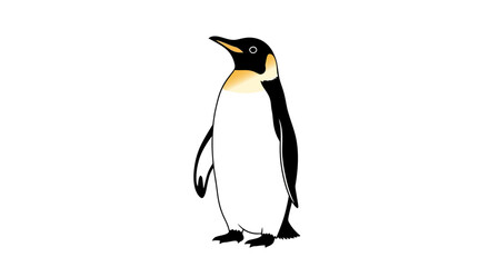 Cute Emperor Penguin Illustration Standing Isolated on White Background