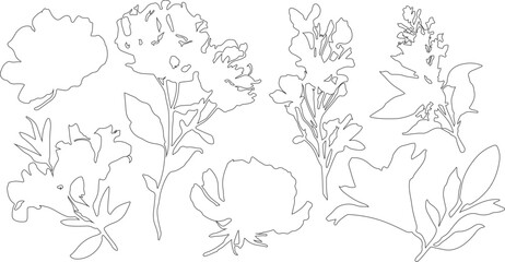 Fototapeta premium hand drawn vector illustration of flowers or line art vector silhouette of various tree with it's branches.