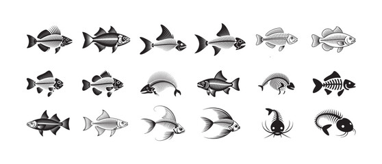 Naklejka premium Extensive collection of diverse fish skeletons and whole fish illustrating various aquatic species