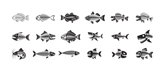 Set of twenty diverse fish and fish skeleton illustrations on a white background, ideal for education