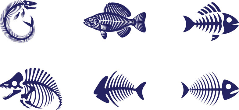Set of various fish skeletons and fish bone designs in dark blue over a transparent background