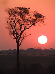 Sunset in the farm - Araçatuba - São Paulo - Brazil