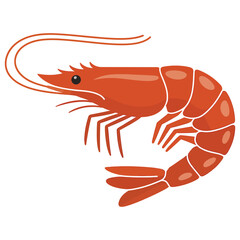 shrimp on a white background