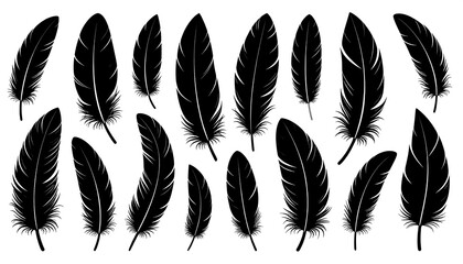 Obraz premium Black feather graphics. Array of plumes scattered across white background, creating a minimalistic, elegant design