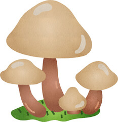 Illustration of Mushrooms on Green Grass Watercolor Hand Drawn Style