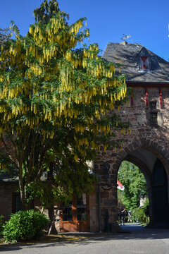 oll castle in Eifel, entrance  in the castle