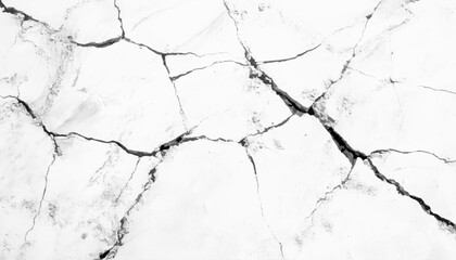 Abstract white cracked texture background. Crack texture lines isolated on a white background. Cracked surface with white space in raw style.