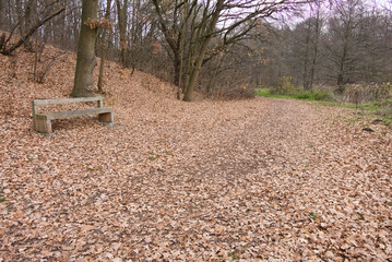 Cybina River Valley, a protected area with lush vegetation and hills, with an autumn view covered...