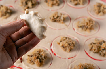 Close-up shot of a neatly sealed dumpling with sauerkraut and mushroom filling, held in a hand over a sheet of dough circles