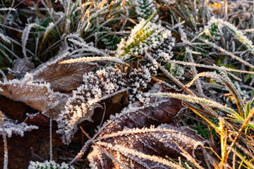Raureif Frost Eiskristalle