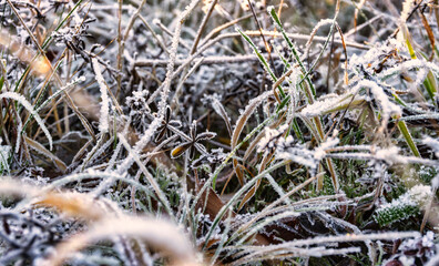 Raureif Frost Eiskristalle