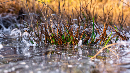 Raureif Frost Eiskristalle