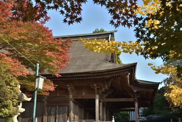 醍醐寺　秋色に包まれる開山堂【重要文化財】