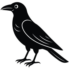 Obraz premium crow vector icon