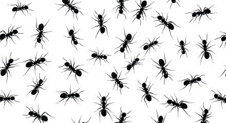 Ant silhouette pattern, insect swarm, black ants, white background, nature texture, biology concept, crawling insects, pest control, entomology study, seamless design