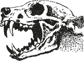 Wolf skull profile vector illustration with open jaw in gritty stipple dotwork style

