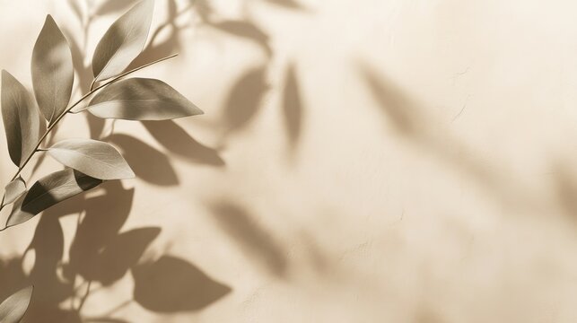 Elegant beige wall with leaf shadows creates a stunning minimalist backdrop, perfect for adding a touch of nature and serenity to your project