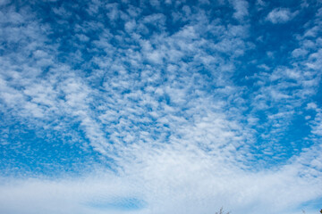 nubes blancas en forma de copos con cielo azul radiante 