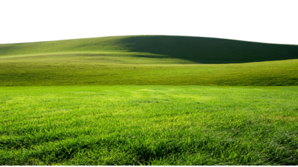 green field and green grass.green grassland landscape isolated on white or transparent png