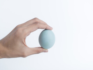 Hand holding a single pastel blue-green egg isolated on white with copy space, resembling an Indonesian salt-cured duck egg telur asin or a plain Easter egg
