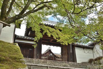 曼殊院　勅使門(京都市左京区)