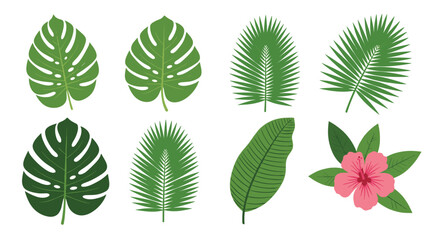 Fototapeta premium A beautiful set of green tropical leaves including monstera and palm with a pink hibiscus flower isolated on a white background.