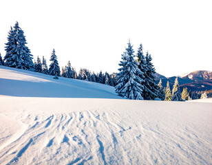  Winter Snowy Landscape