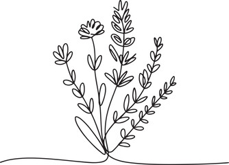 Continuous line art illustration of slender decorative herbs arranged with handmade contour
