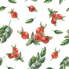 seamless watercolor pattern with rosehip berries, illustration for tableware, textiles, stationery, and packaging

