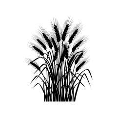 Black and white illustration of wheat stalks with grains, detailed and realistic design