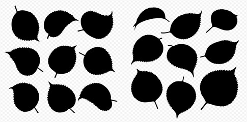 Silhouettes of leaves in various shapes and sizes arranged in a grid pattern on a transparent background.