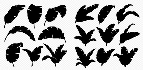 Silhouettes of various tropical leaves, creating a botanical pattern.